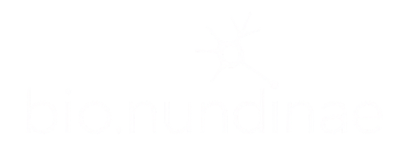 nundinae.com.mx